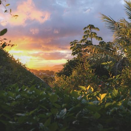 Estacion Biologica Aguali Vandrarhem Matagalpa Exteriör bild